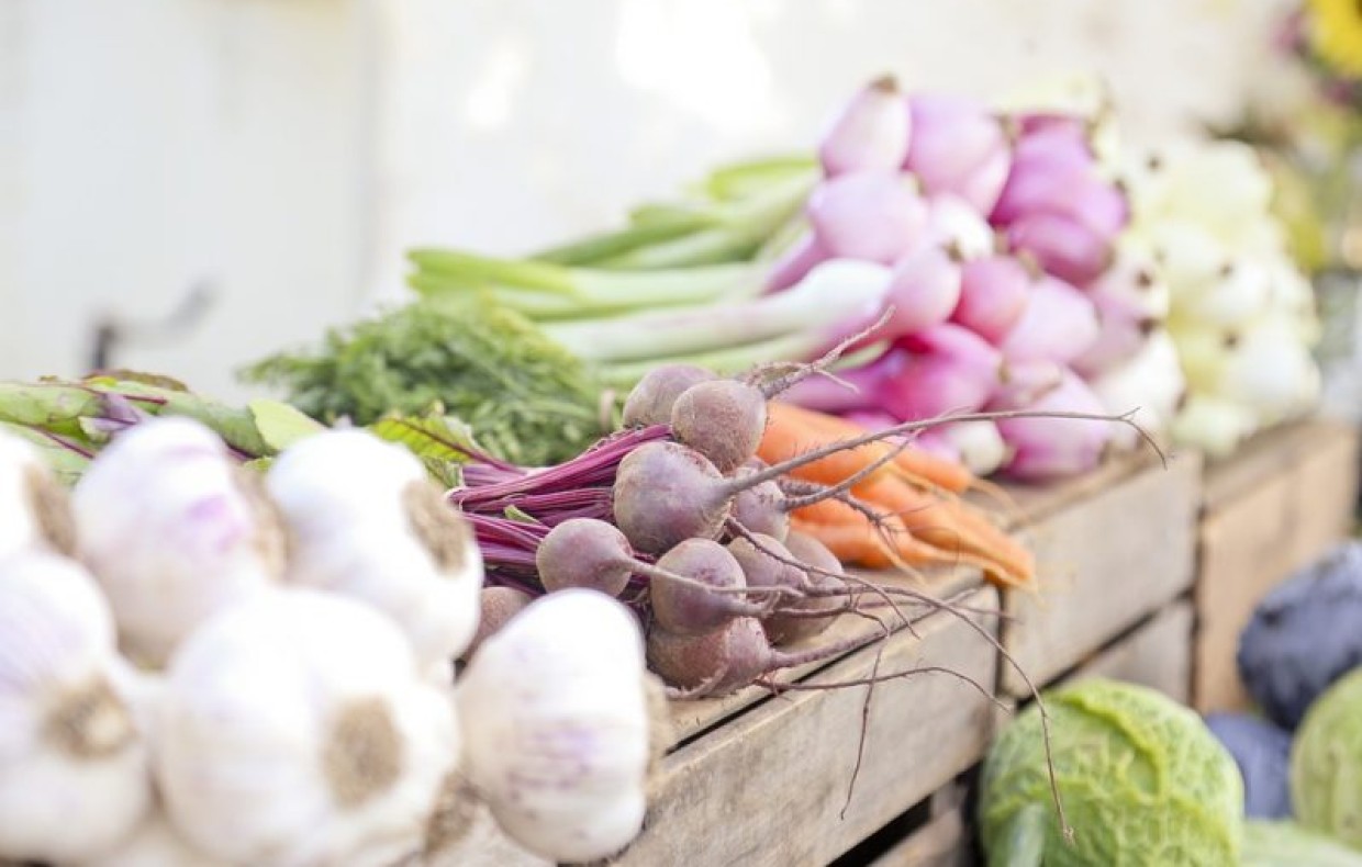 Légumes disposés sur des boîtes de bois (radis, choux, carottes, etc.)