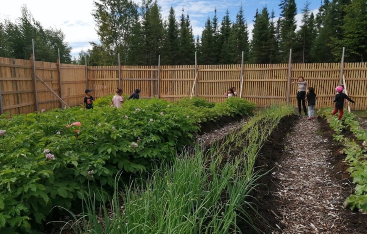Jeunes enfants dans un jardin communautaire à Opitciwan
