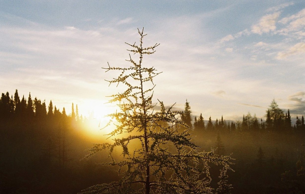 paysage nordique du québec
