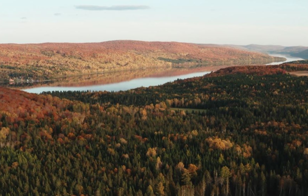 paysage montagneux en automne avec une rivière au centre