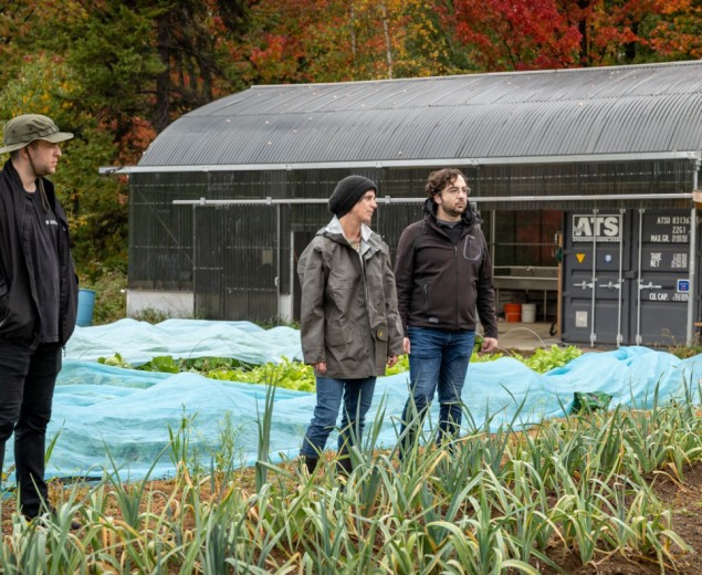 Quatre personnes qui discutent sur le site d'un incubateur agricole