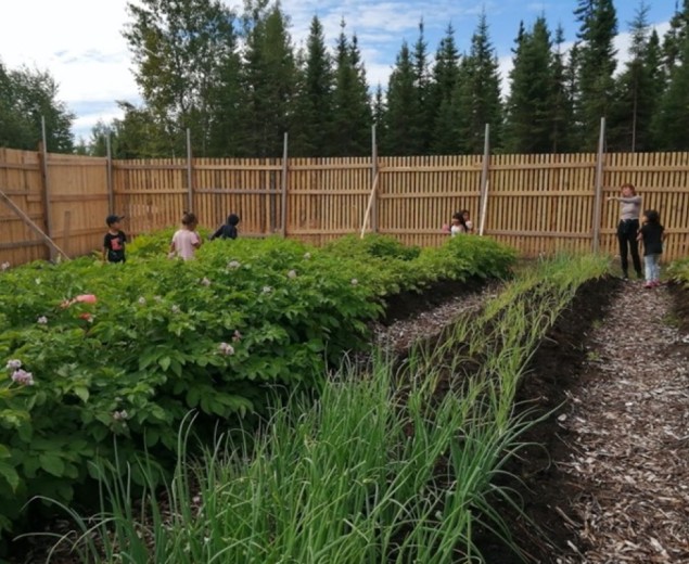Jeunes enfants dans un jardin communautaire à Opitciwan