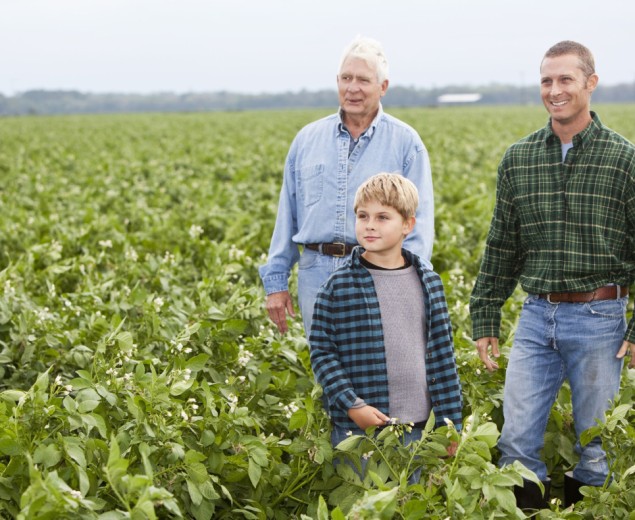 3 générations d'agriculteur dans un champ